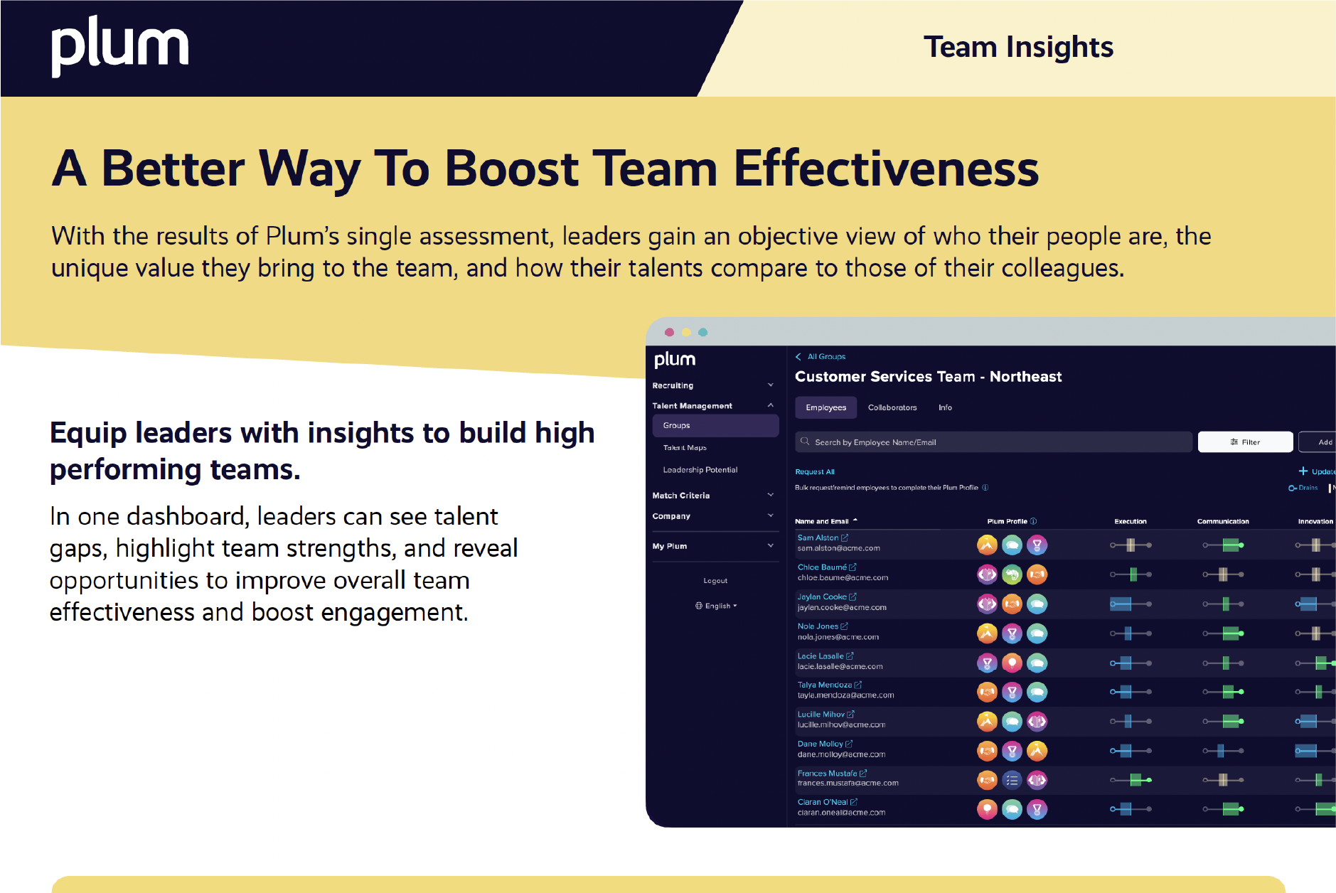 Plum - Brochure - Team Insights